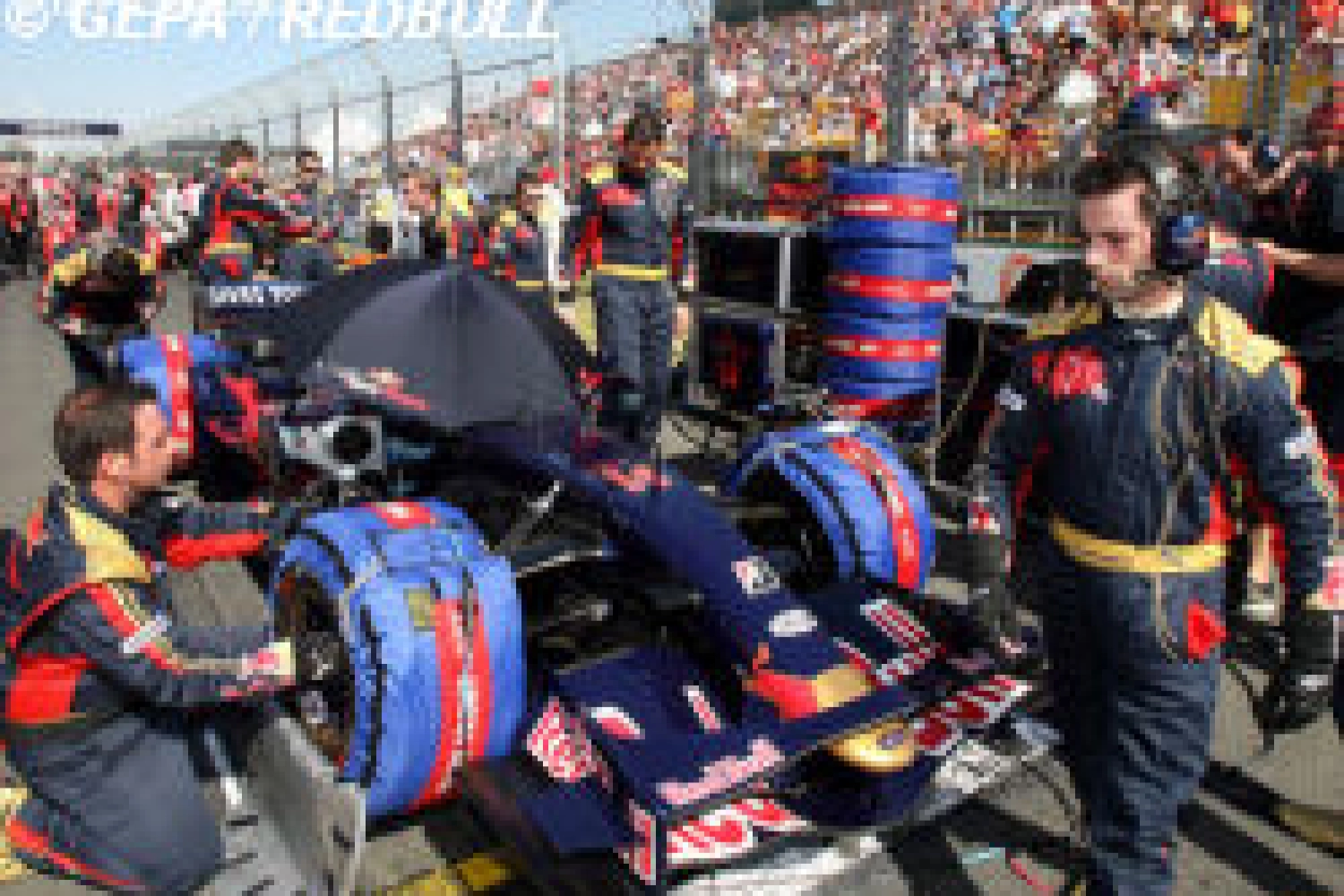 Gerhard Berger wants to continue with Toro Rosso, despite everything!