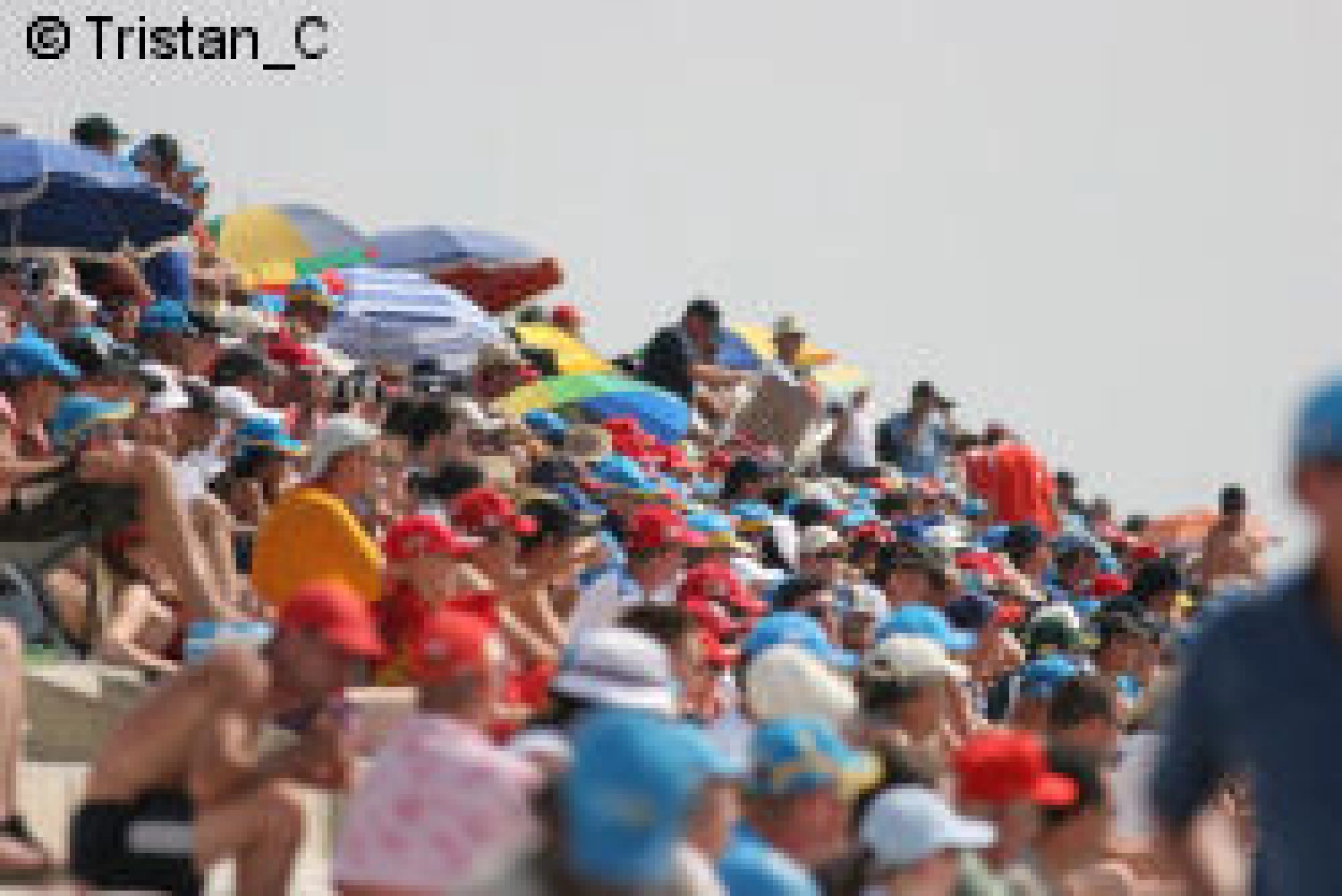 Webber no longer wants to be alone in the battle