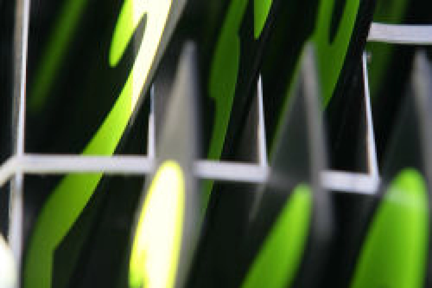 Fan-F1 commits to the planet alongside ‘Beds are burning’