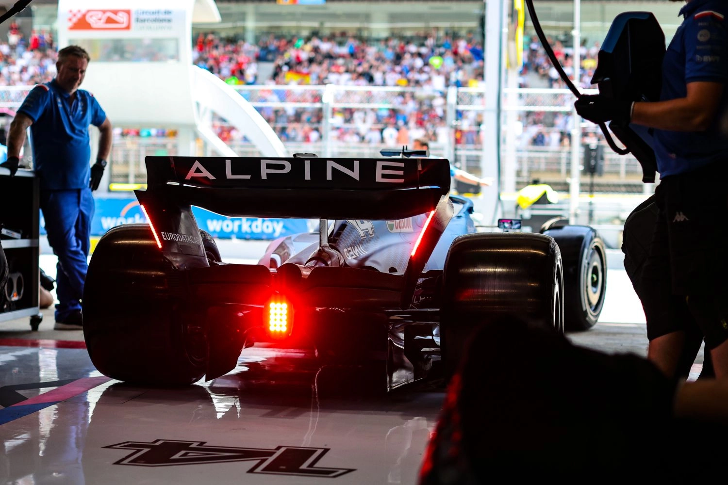 Fernando Alonso concerned about the dolphin killings in Baku