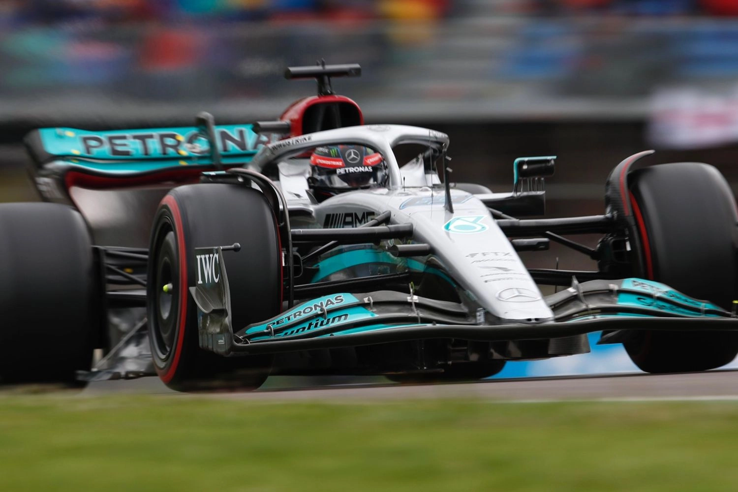 George Russell’s flooring damaged by dolphin behavior