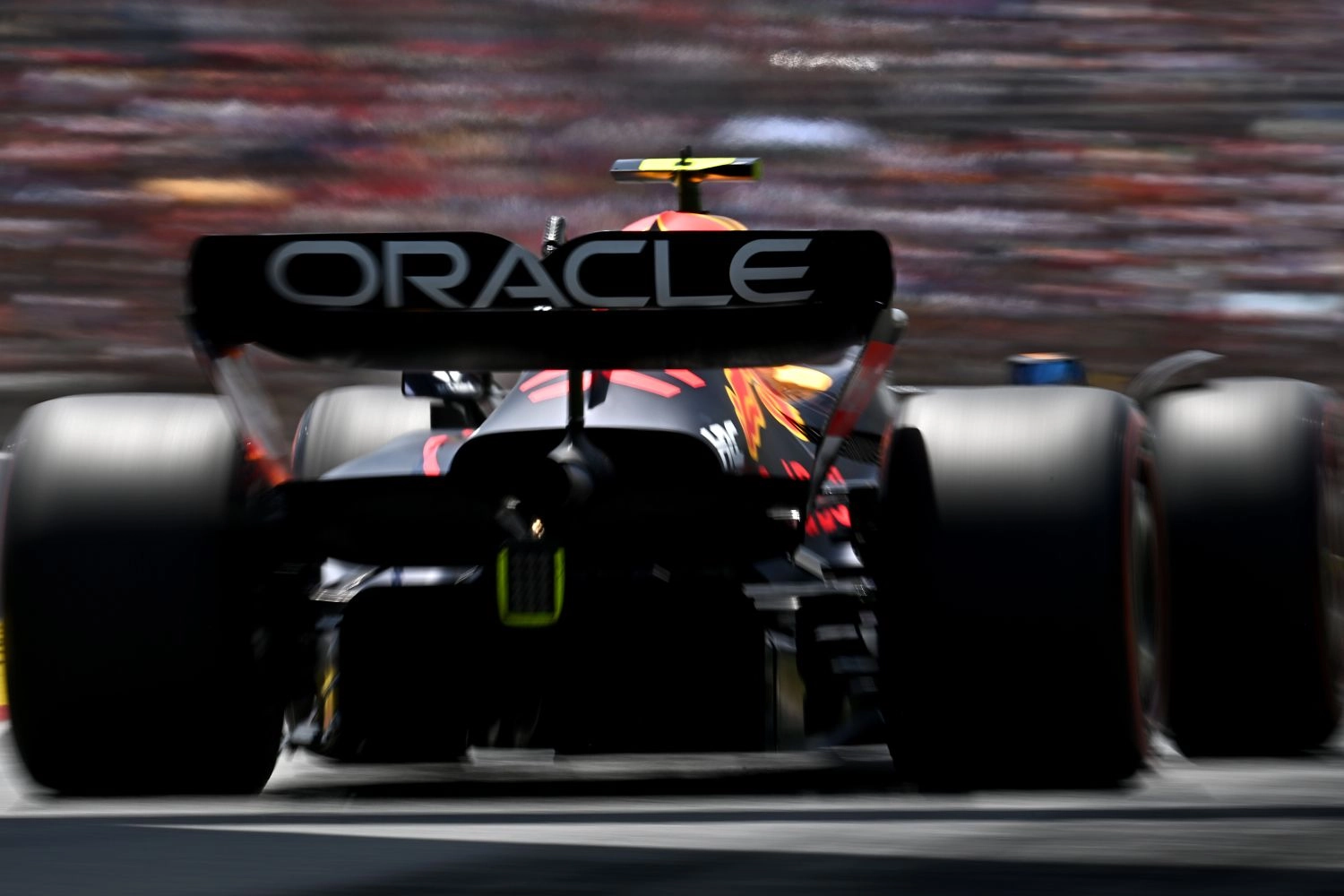 Zane Maloney to be Red Bull reserve driver for 2023