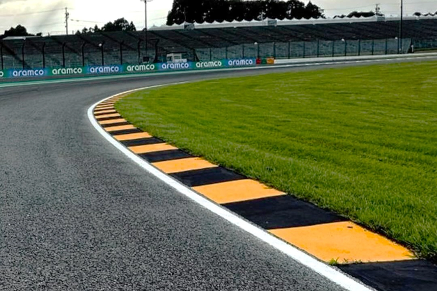 Sebastian Vettel has a speed bump painted in the colors of bees at Suzuka