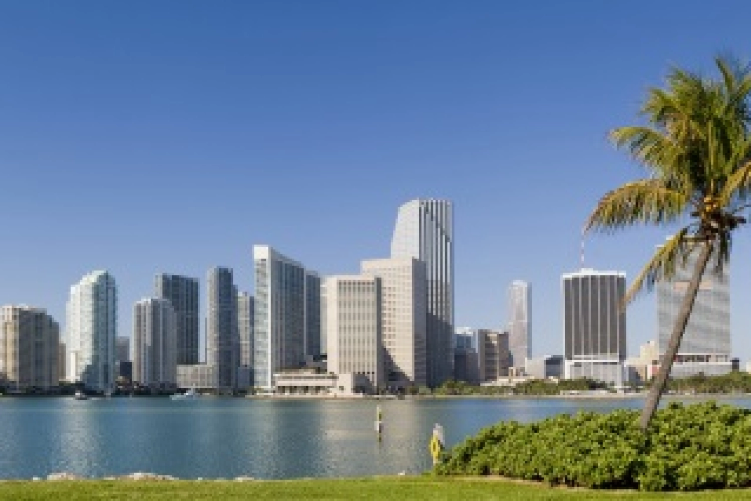 Le tracé du circuit du ePrix de Miami dévoilé