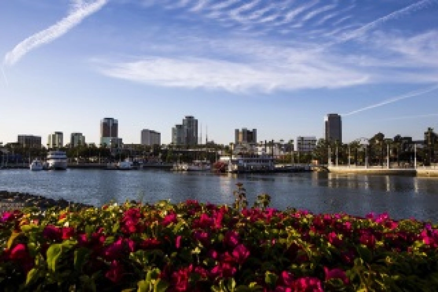 ePrix Long Beach : Présentation du circuit et programme TV