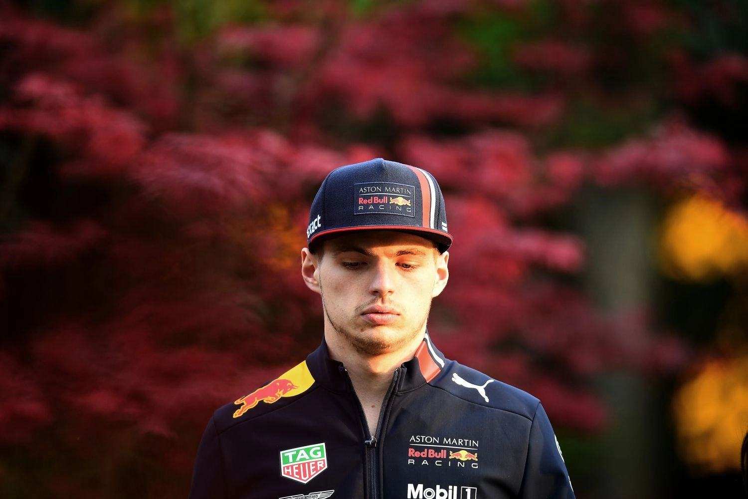 Officiel : Max Verstappen lié avec Red Bull jusqu’en 2023